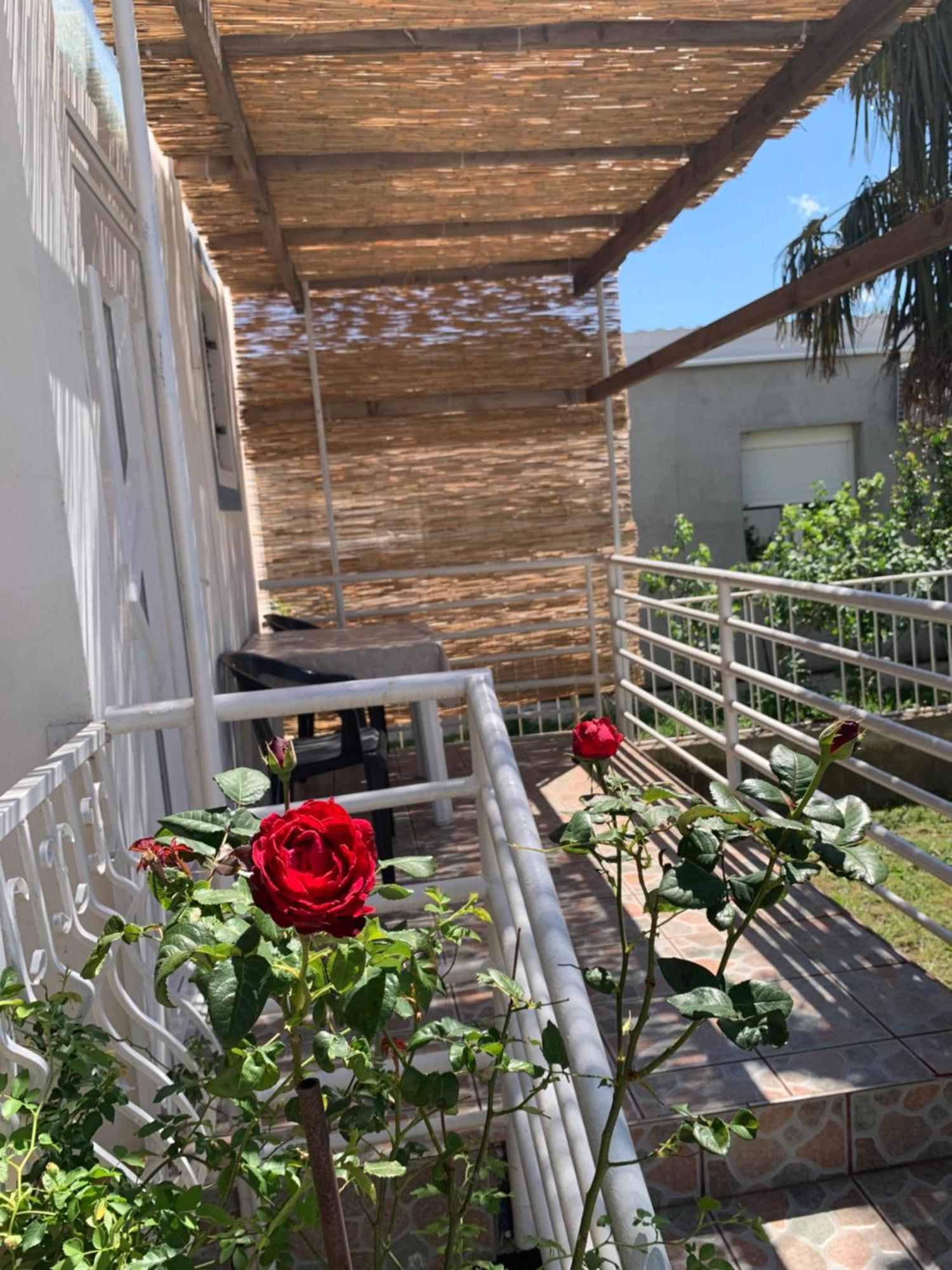 Apartmani Antonela سيلين المظهر الخارجي الصورة